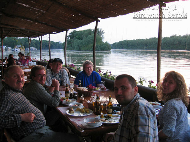 birdwatch_serbia_161.jpg - Dinner at the Great War Island in Belgrade