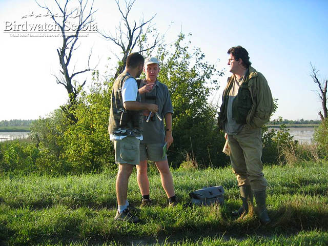 birdwatch_serbia_036.jpg - Carska Bara
