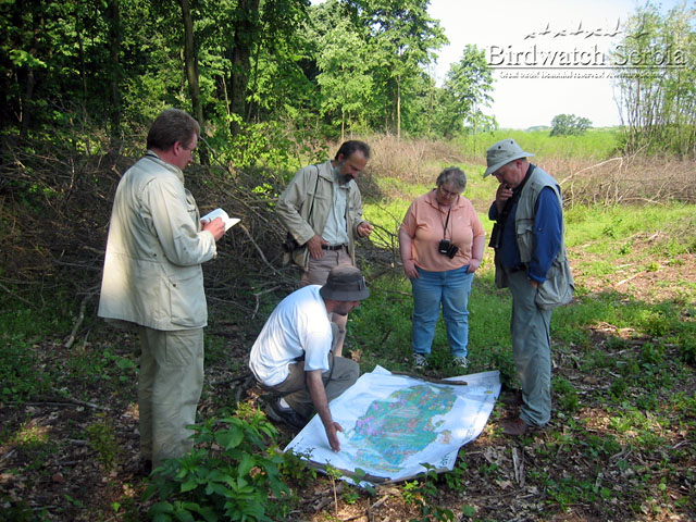 birdwatch_serbia_062.jpg - Deliblato sands