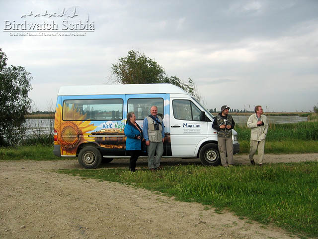 birdwatch_serbia_100_0031_2.jpg - Beside the Becej Fishponds