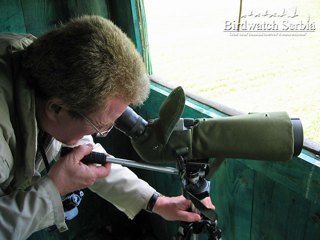 birdwatch_serbia_100_0037.jpg - From the hide (Slano Kopovo)