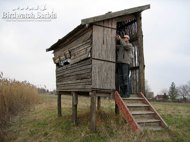 birdwatch_serbia_102_0208.jpg - Birdwatching hide on Ludas Lake