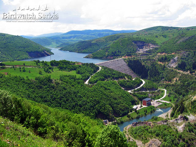 birdwatch_serbia_131.jpg - Uvac gorge