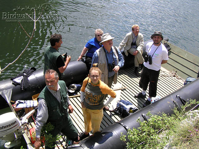 birdwatch_serbia_148.jpg - Birdwatching in Uvac gorge
