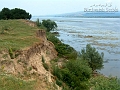 birdwatch_serbia_065