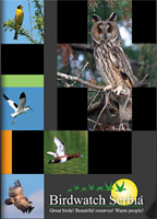 Birdwatching in Serbia Catalogue